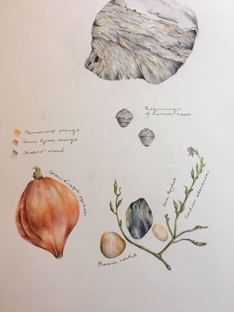 Rock, Paper, Squash by Deborah Montgomerie, Image 2.