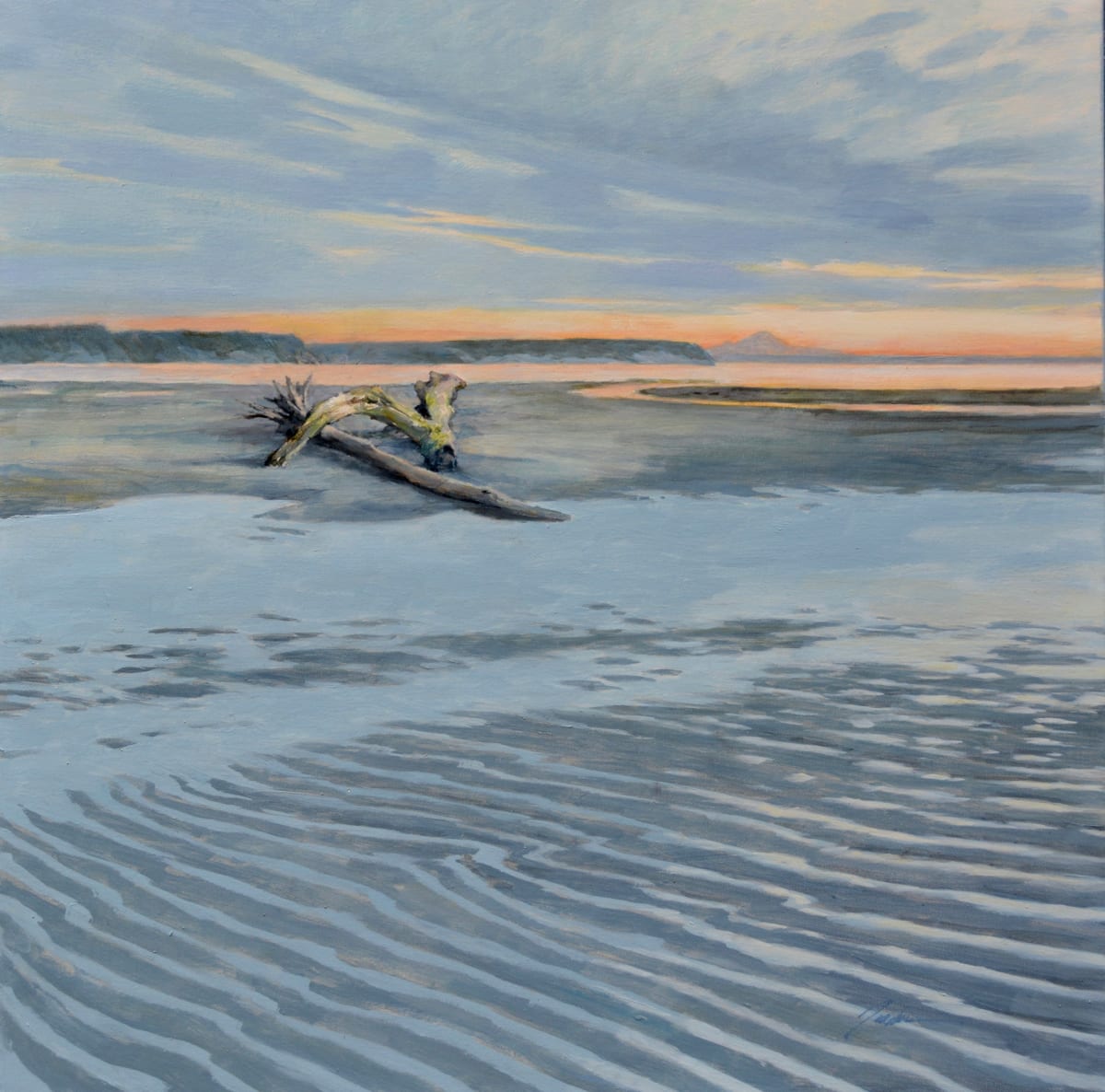 Sand Stripes, Useless Bay by Pete Jordan 