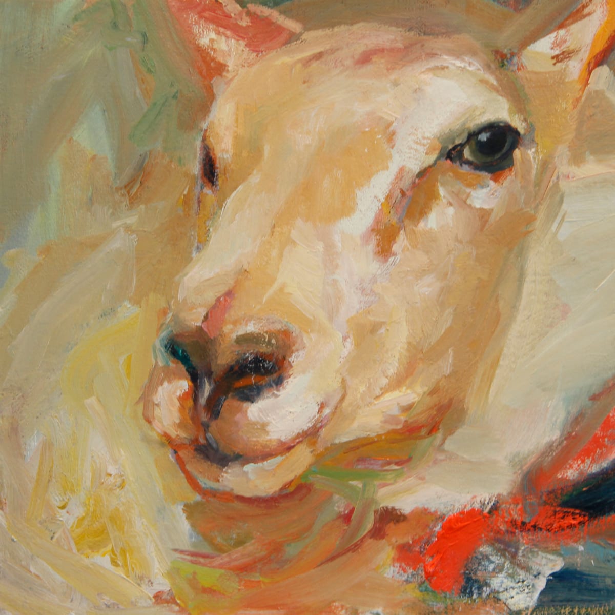 Sheep Portrait Facing West by Claudia Pettis 