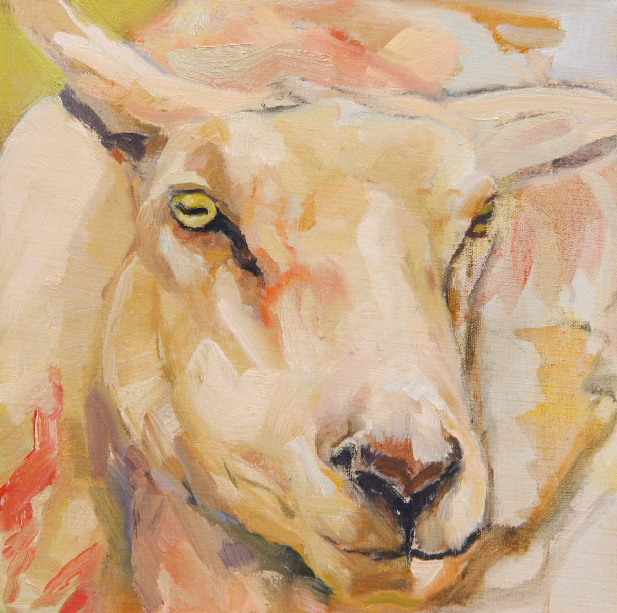 Sheep Portrait in Rose and Yellow by Claudia Pettis 