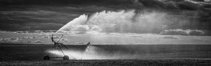 Watering by Skip Smith, Image 1.