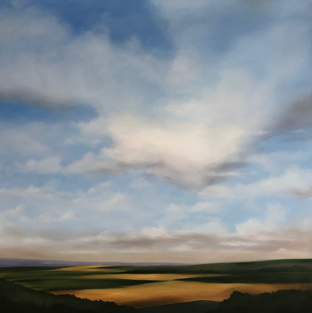 Yellow Field by Faith Scott Jessup 