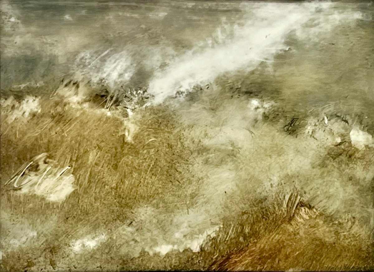 Field by Susan Burgers, Image 1.