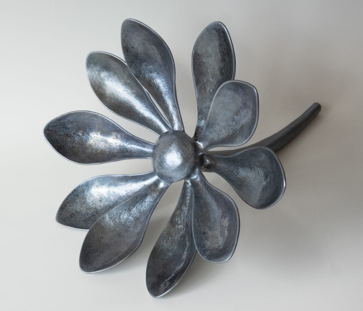 Sedum by Jean Whitesavage 