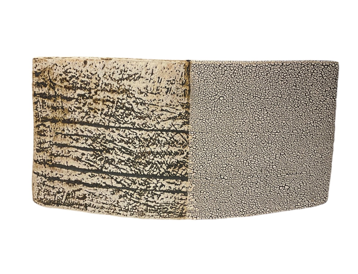 Lichen/White Wedge (2) by Brian O'Neill, Image 1.