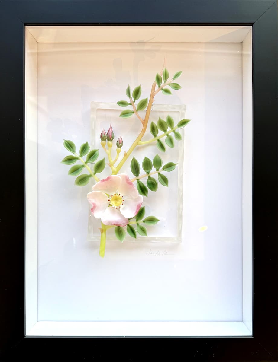 Wild Rose by Janis Miltenberger 