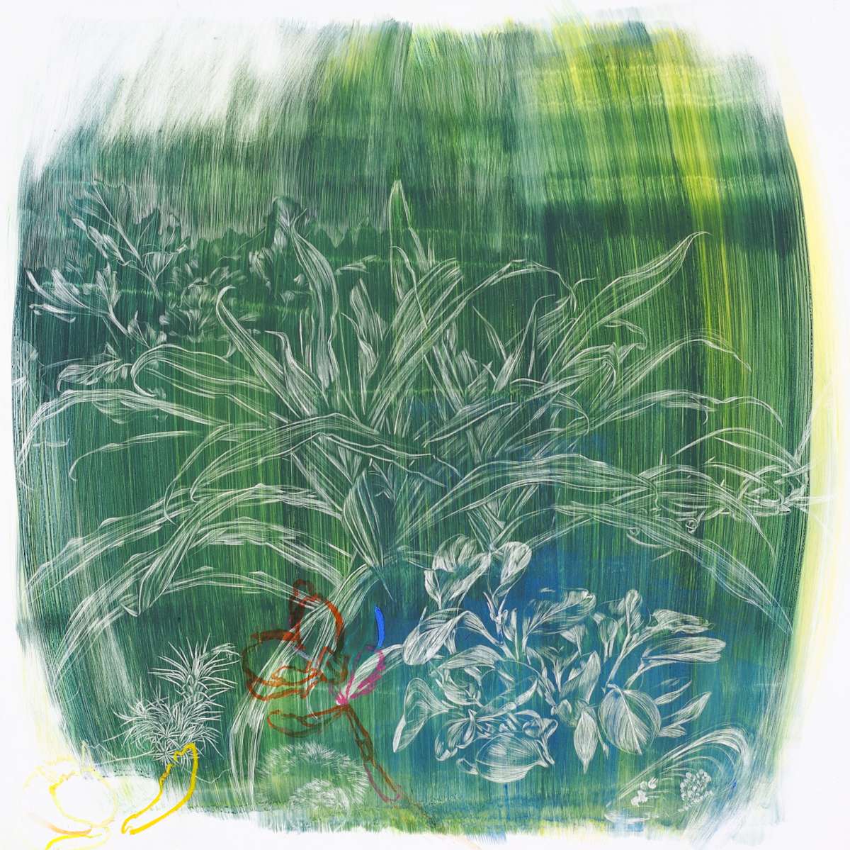 Dry Sun, Image 1.