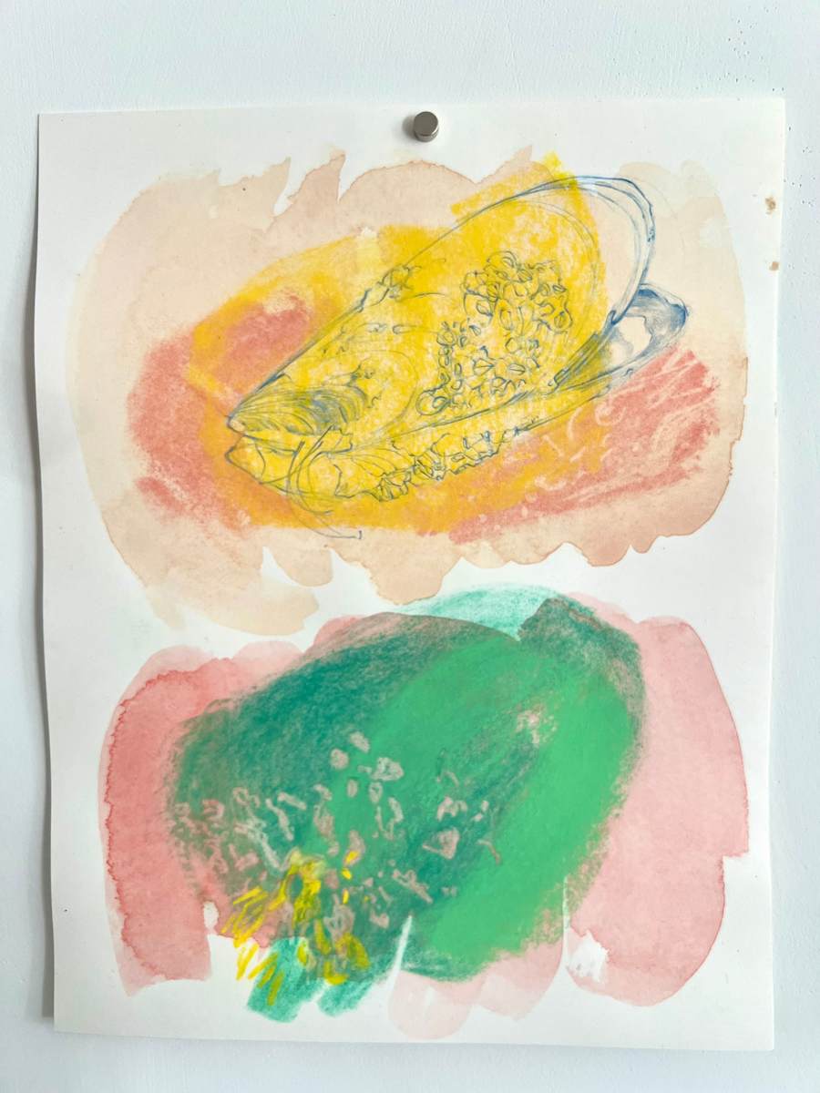 Tidepool Mussel and Energetic Remnant by Melissa Mohammadi 