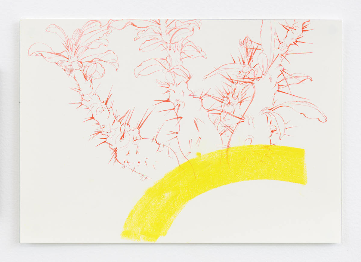 Energy is My Currency by Melissa Mohammadi, Image 1.
