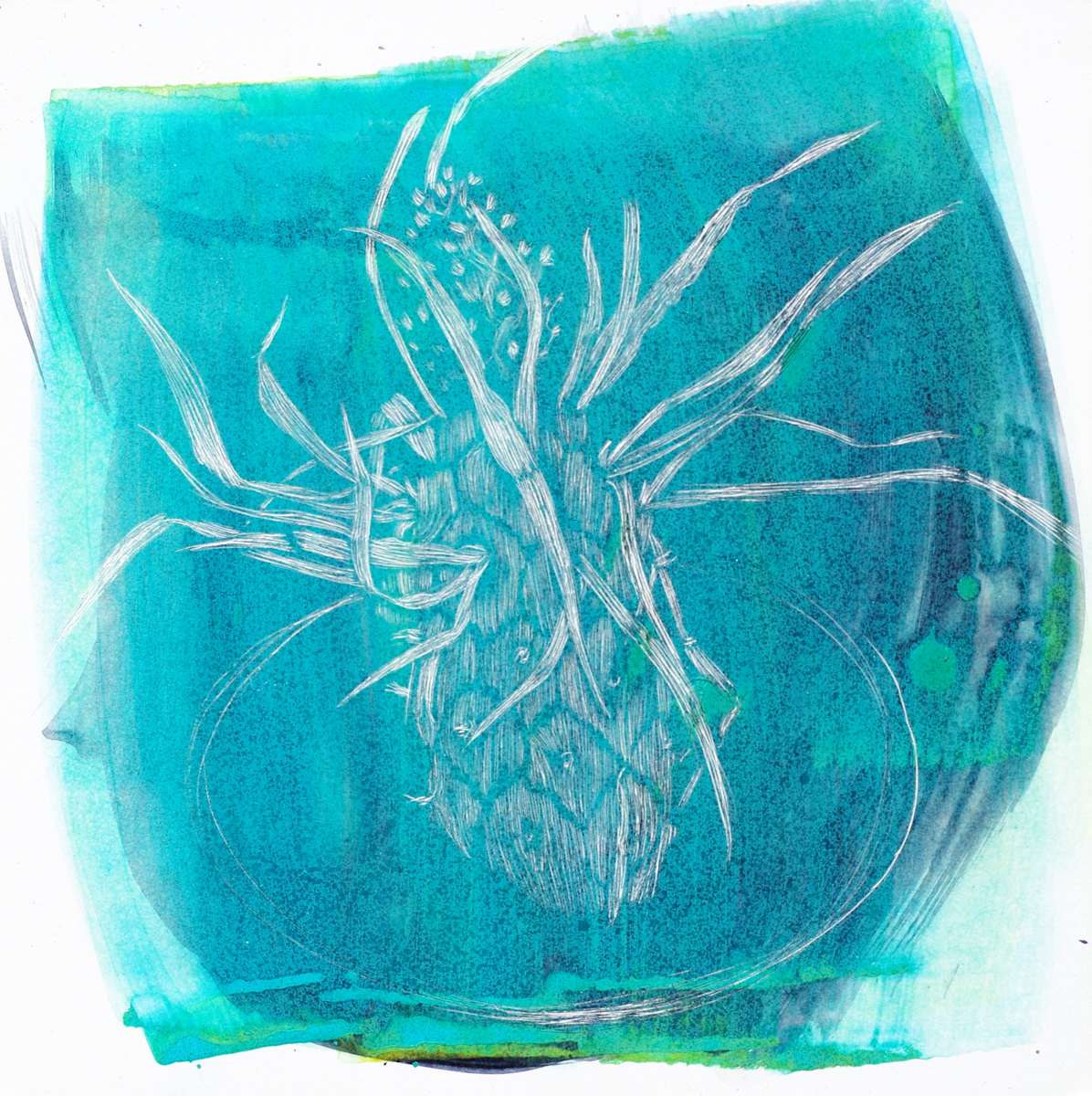 High Desert II by Melissa Mohammadi, Image 1.