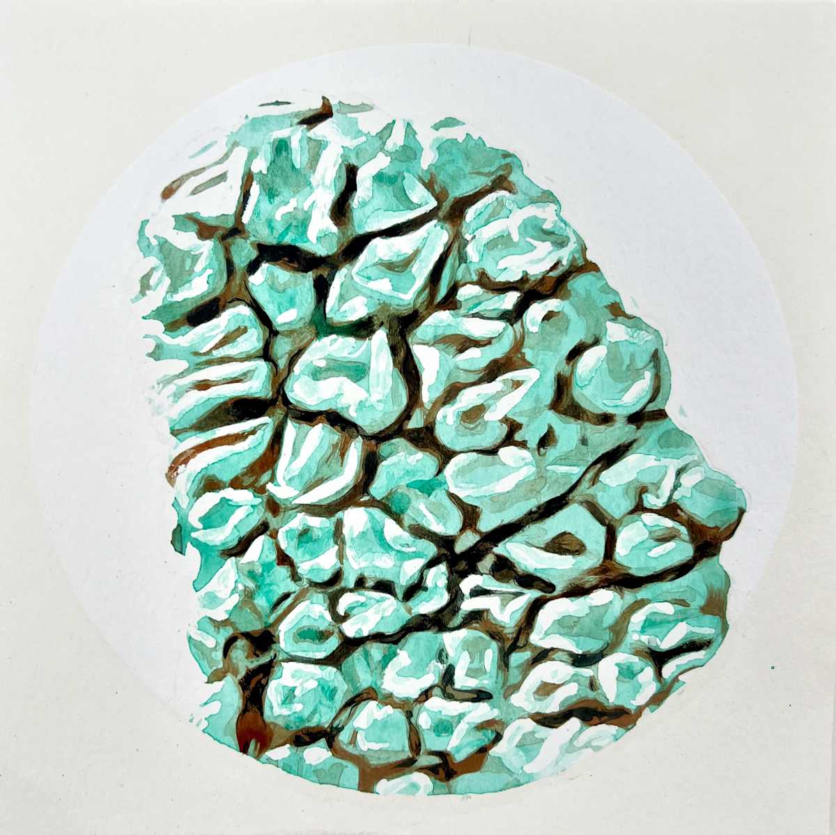 Digest Hard Times Like Lichen Eats Rocks: Great Basin Desert Notes by Melissa Mohammadi, Image 1.