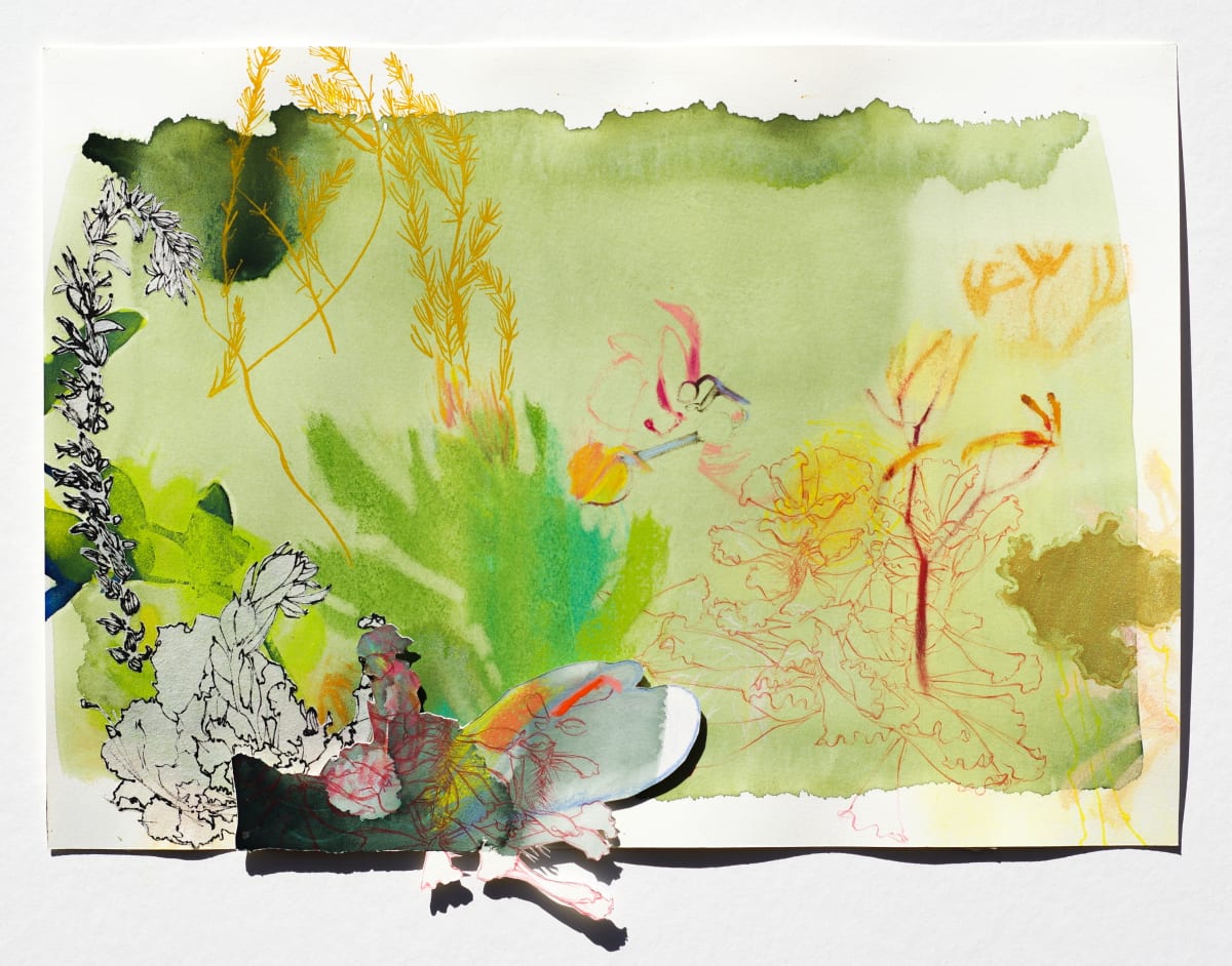 Lush Entry by Melissa Mohammadi 