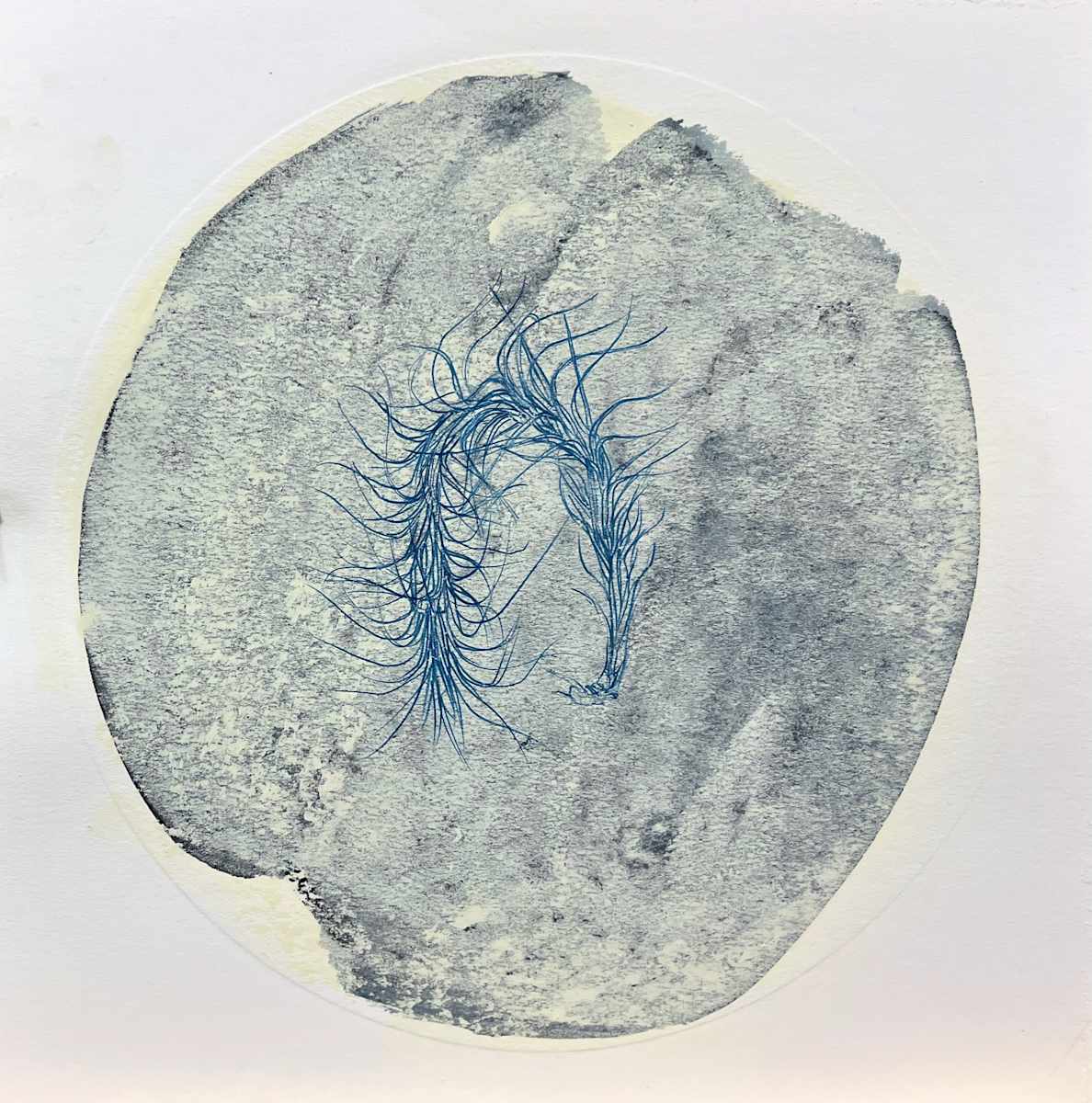 Rest, Fossil by Melissa Mohammadi, Image 1.