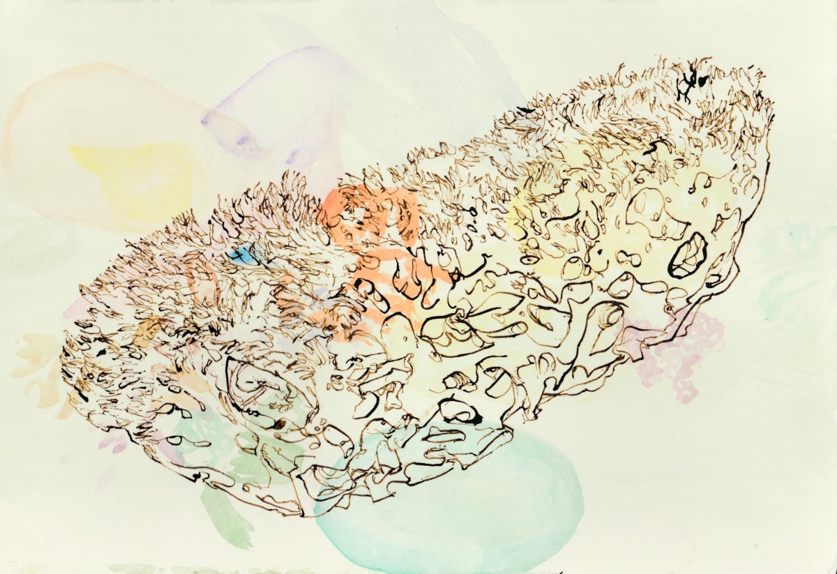 Womb by Melissa Mohammadi 