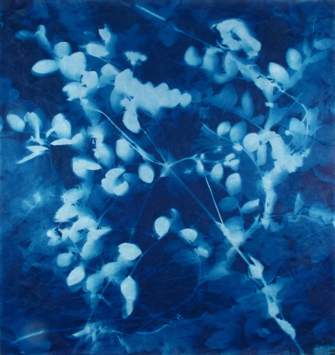 Shadow Catching, Image 1.