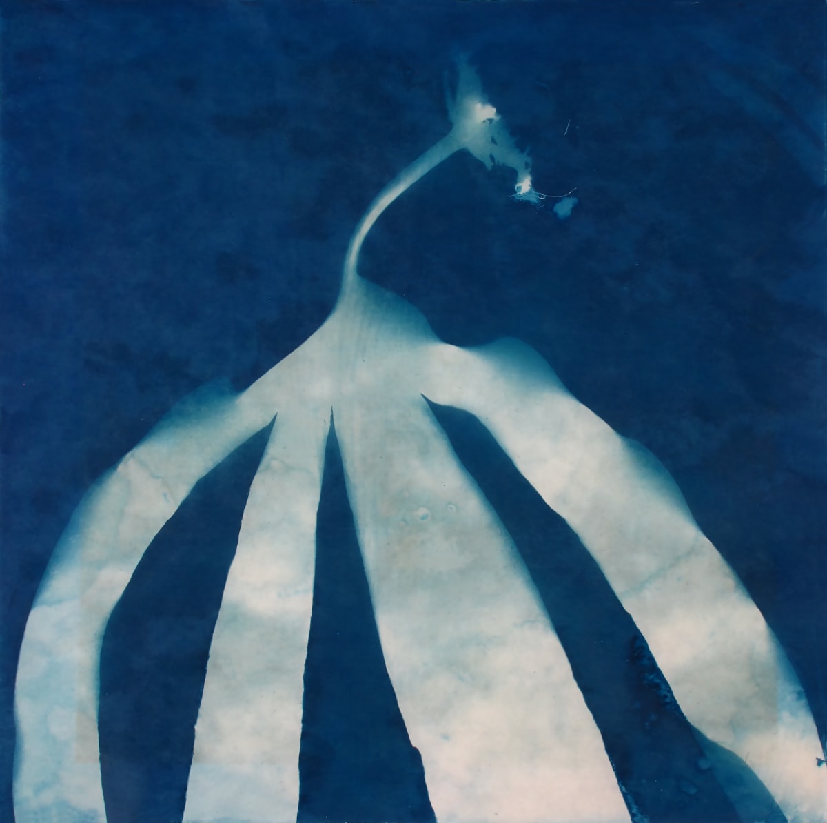 The Arch, Image 1.
