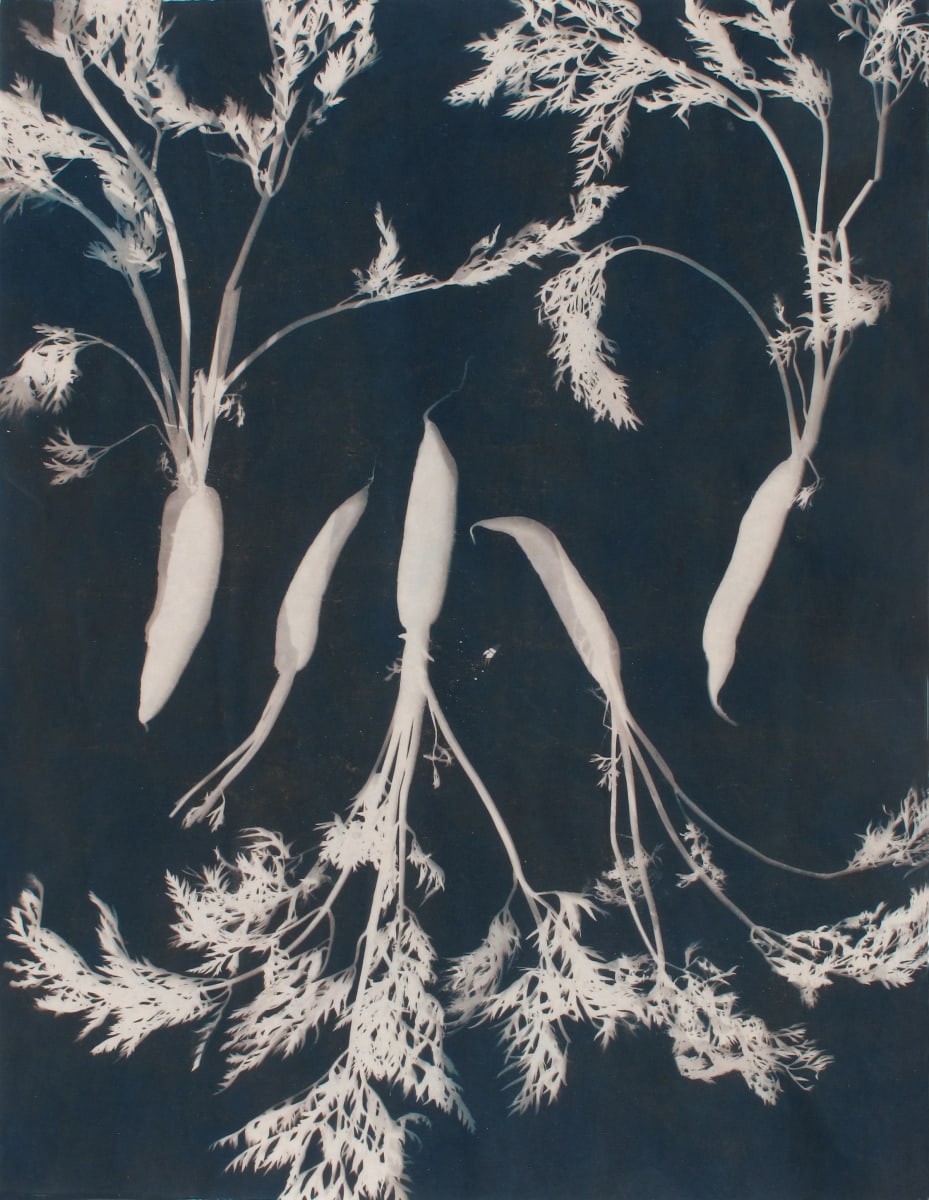 Bounty, Image 1.