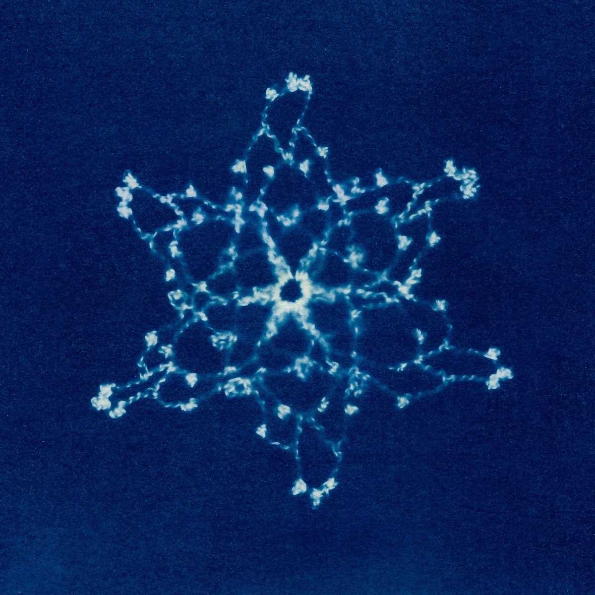 Cyanotype Snowflake collection 