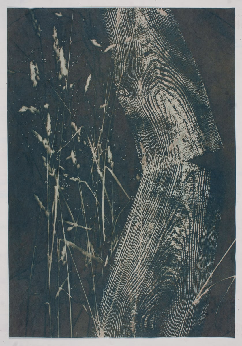 Falling into Grasses  Image: Falling into Grasses, toned Cyanotype, 2021