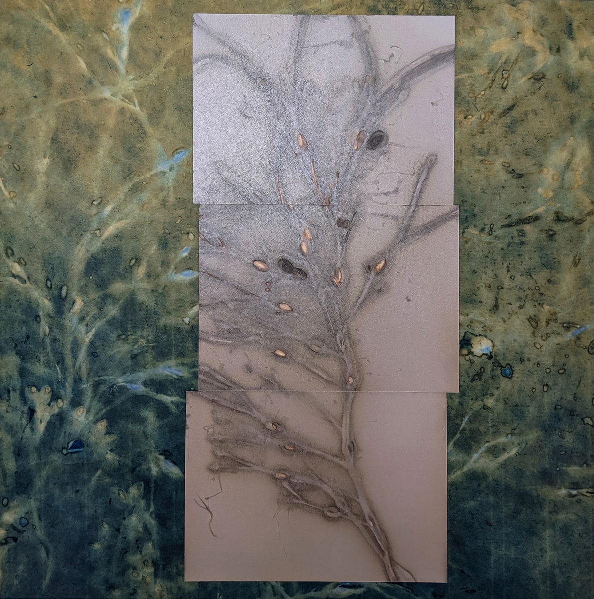 Floating Somewhere IN Between by Bonnie Baker Studio, Image 1.