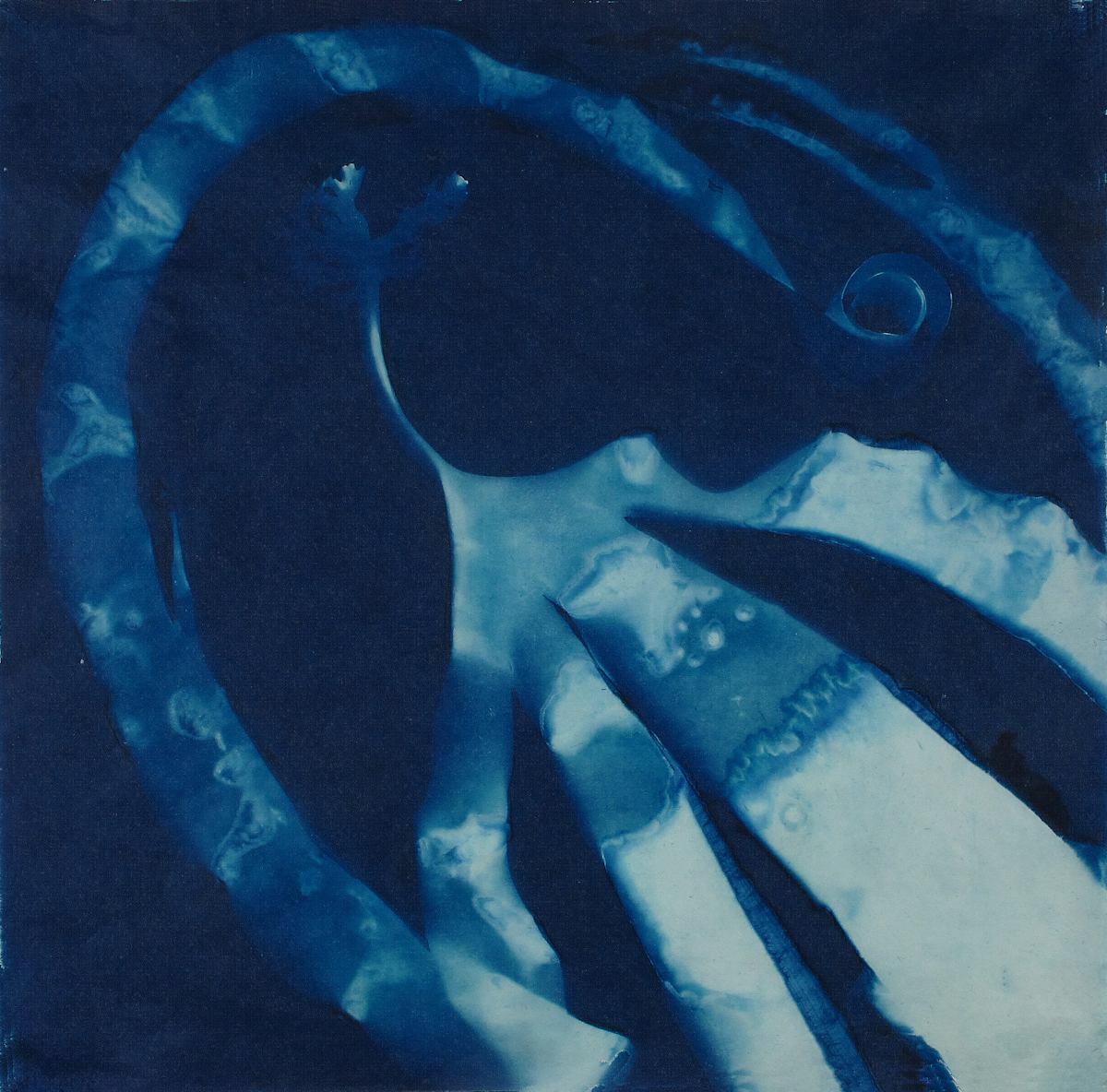 Twist, Image 1.