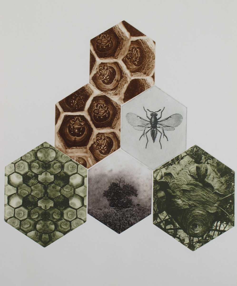 Hive, Image 1.