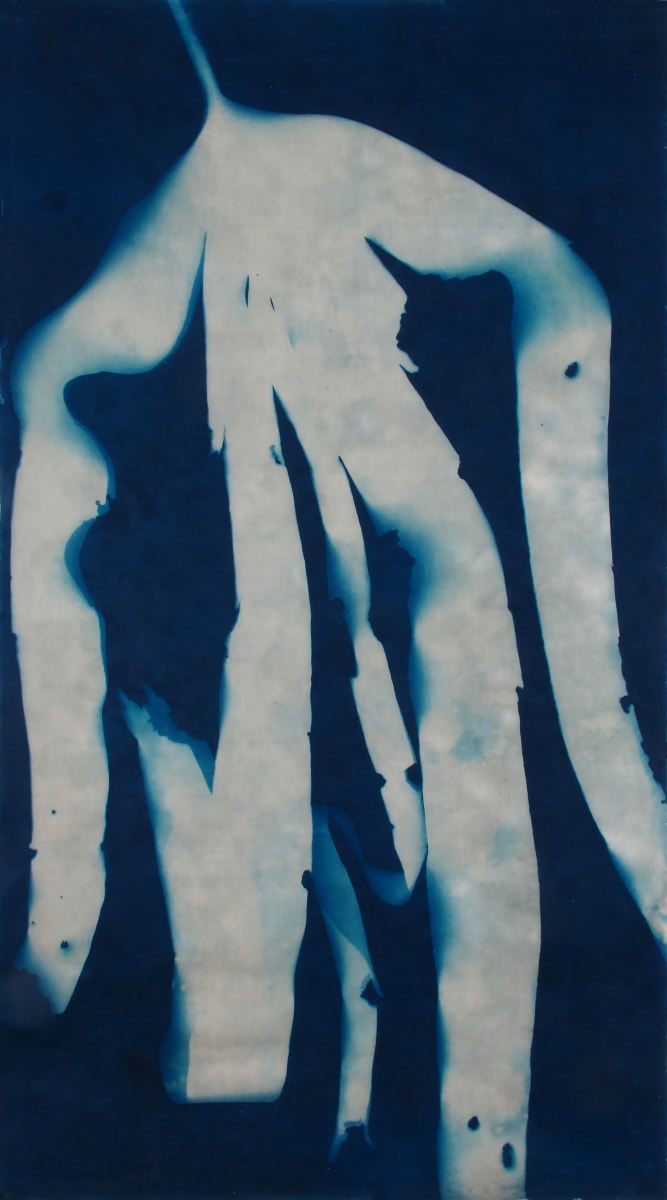 The Dancer, Image 1.