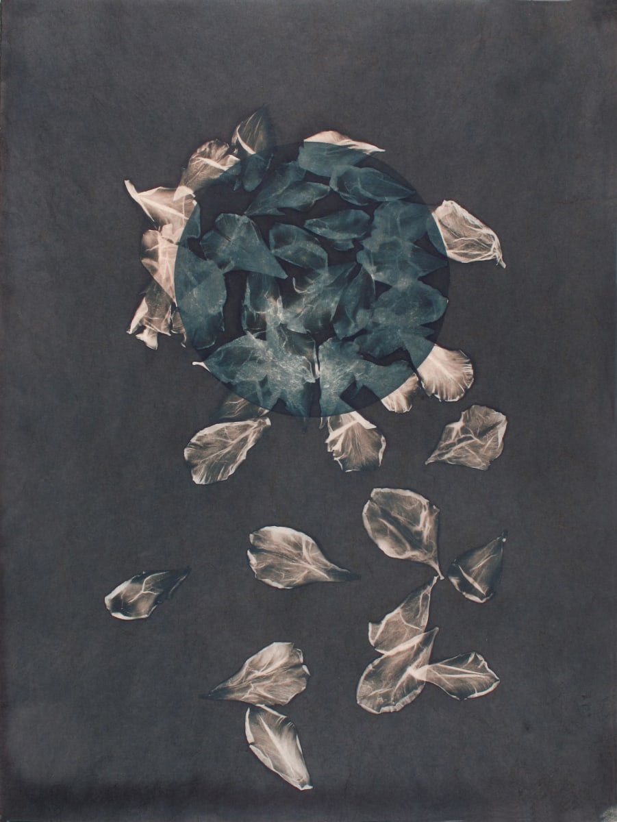 Petal Moon, Image 1.