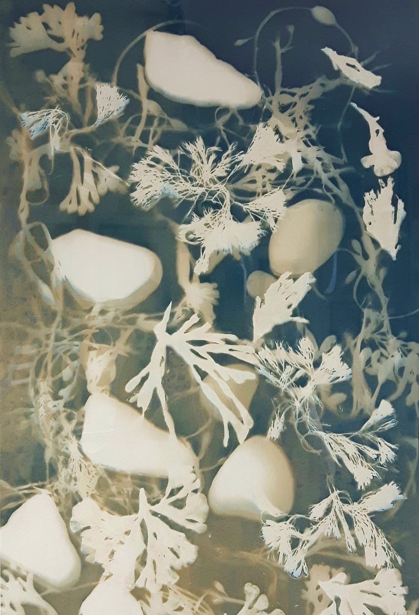 Remnants 