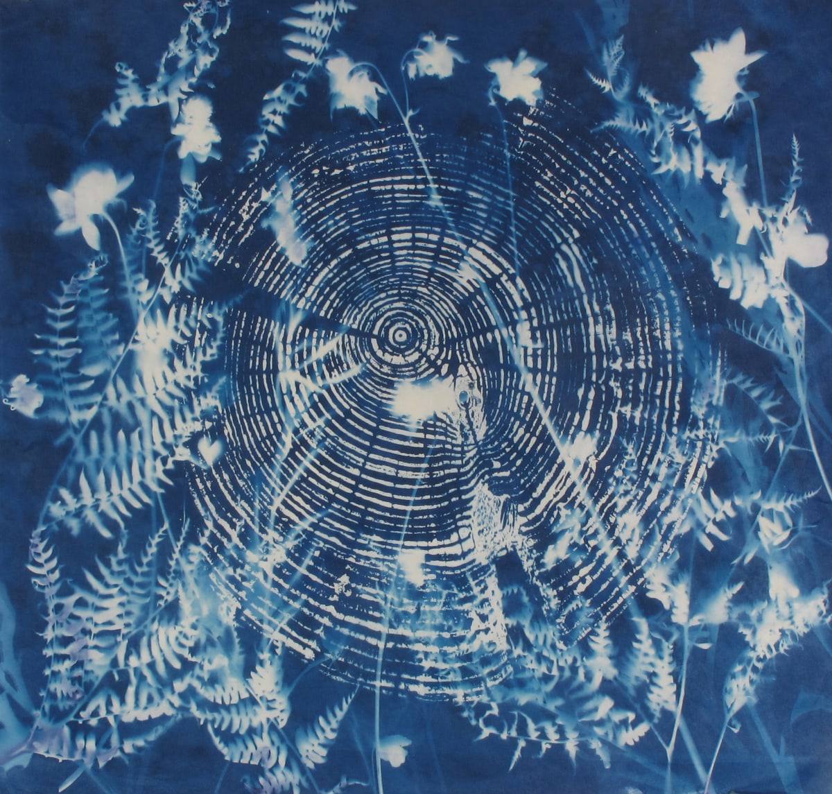 Here be Traces by Bonnie Baker Studio 