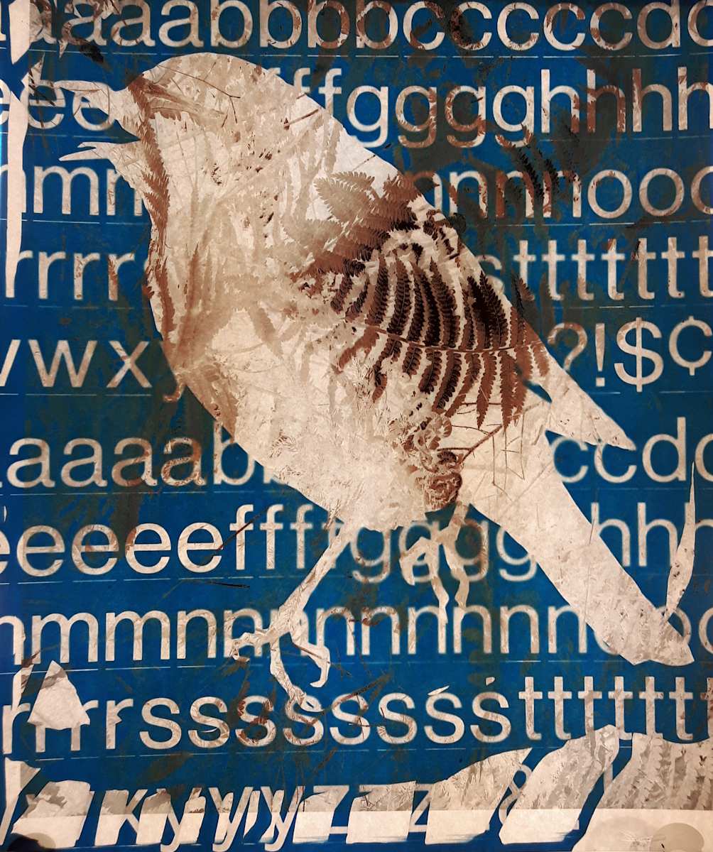Word Bird, Image 1.