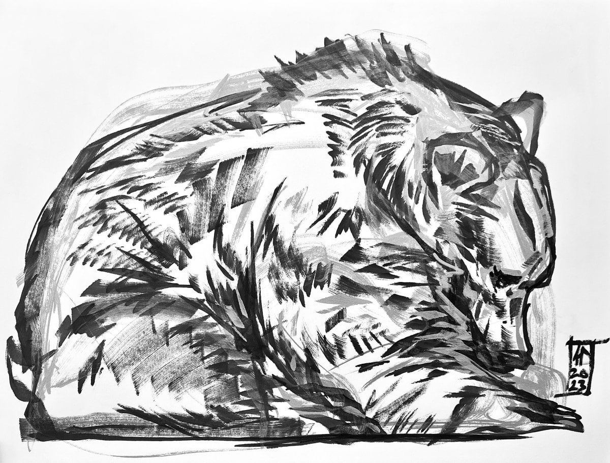 Hibernate by Alec DeJesus 