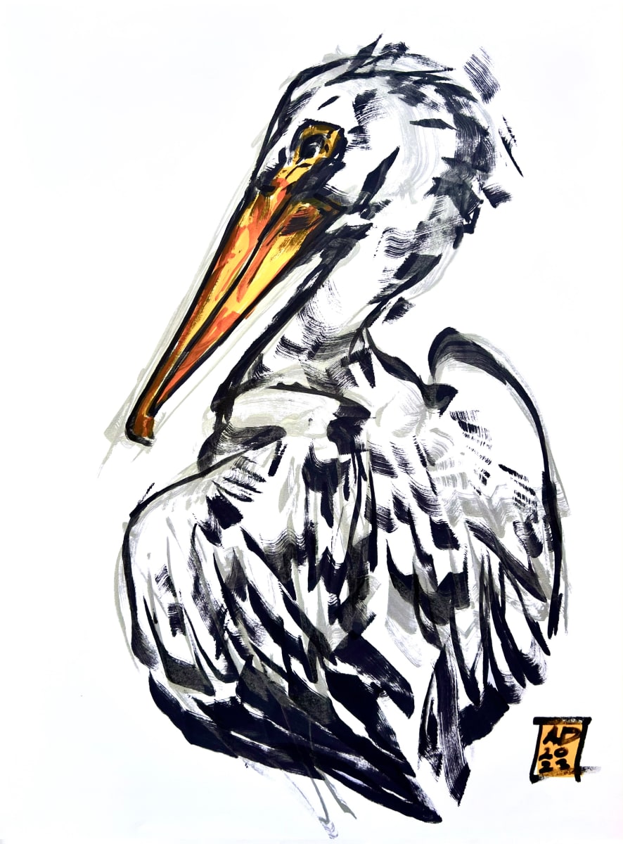 Pelican by Alec DeJesus 