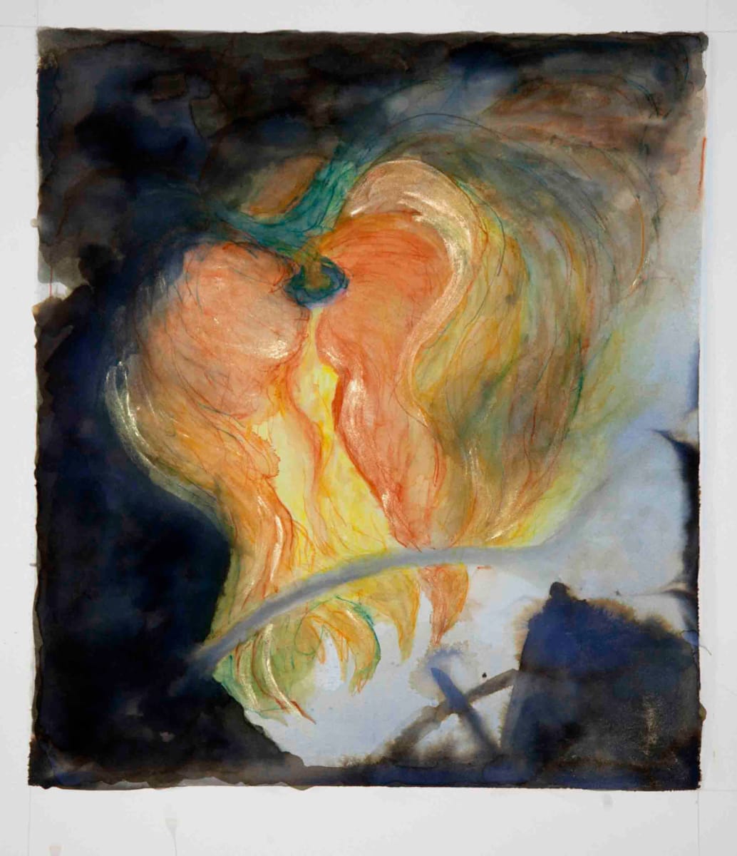 Hidden #1 by Dr. Dena Ashbolt, Image 1.