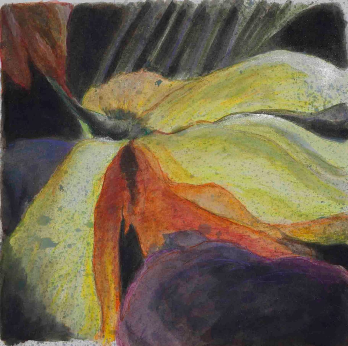Bruises by Dr. Dena Ashbolt, Image 1.