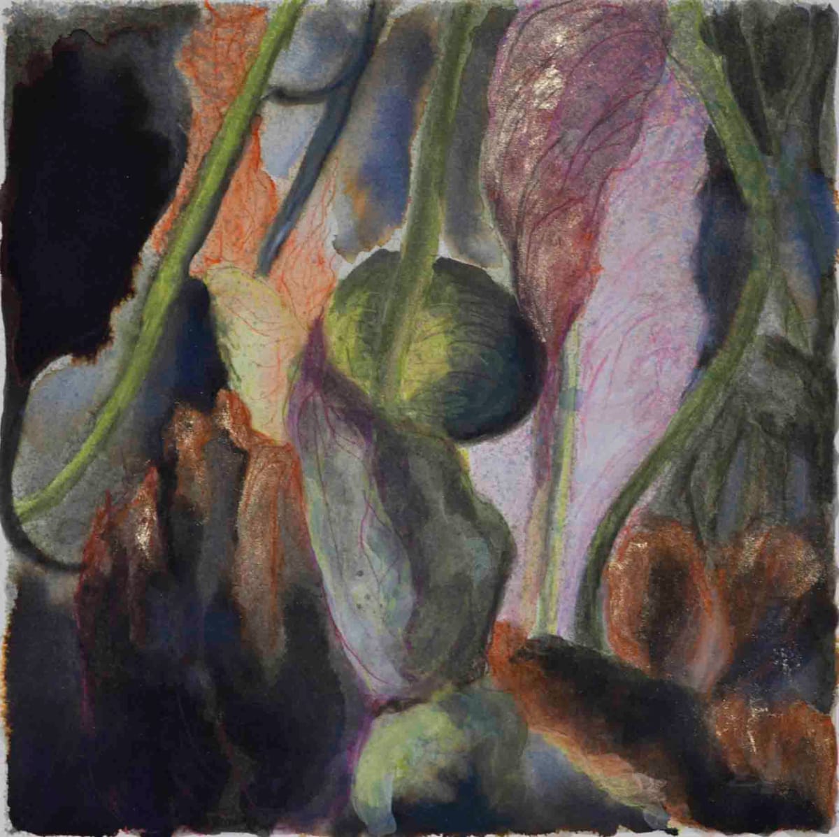 Recall by Dr. Dena Ashbolt, Image 1.