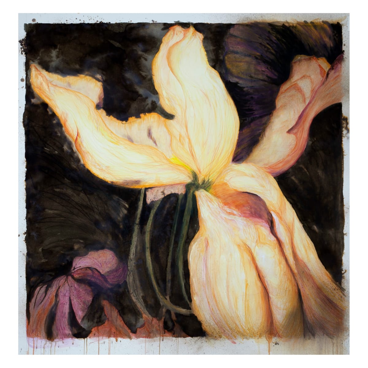 Stolen Bow by Dr. Dena Ashbolt, Image 3.