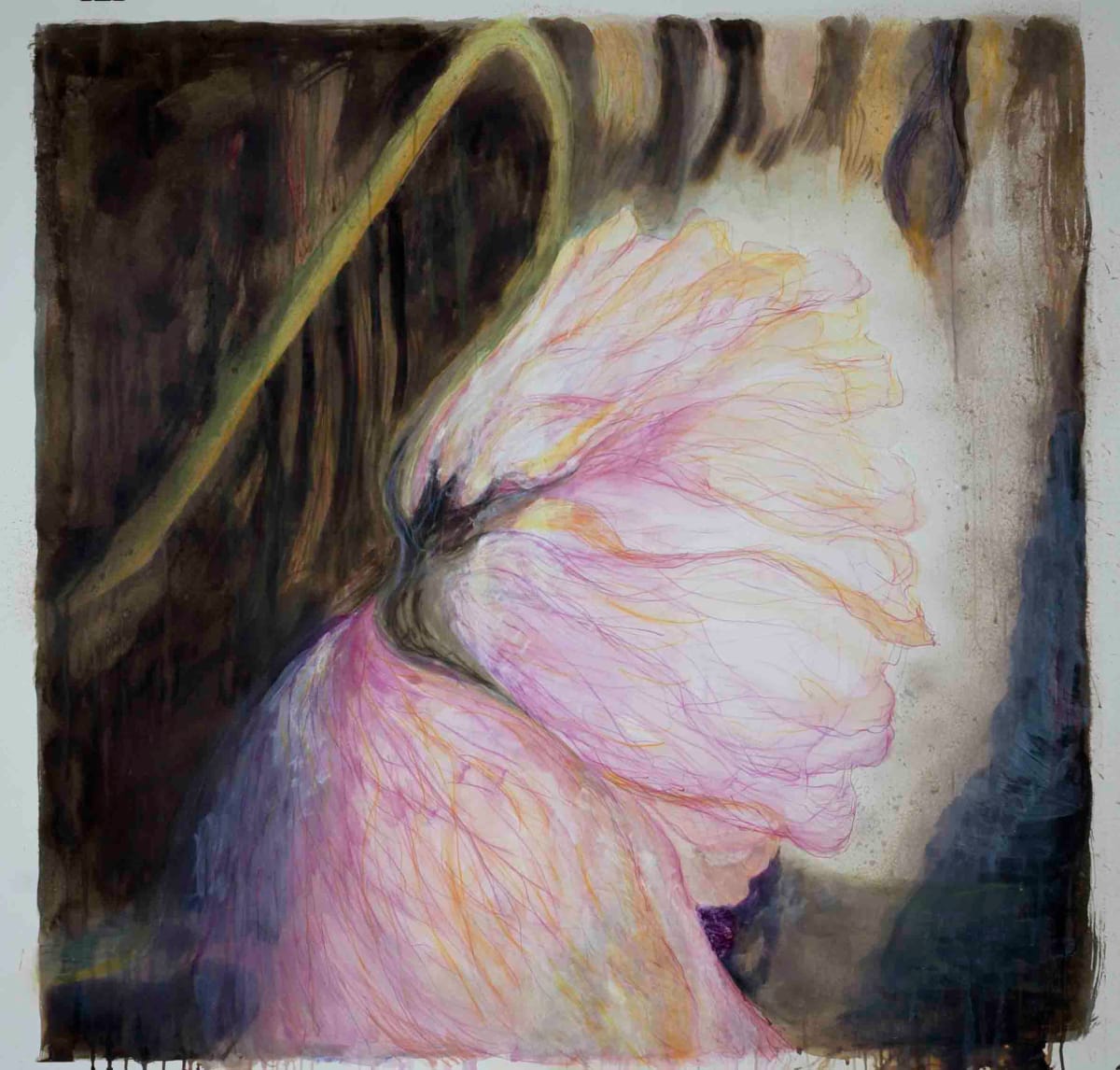 Parachute by Dr. Dena Ashbolt, Image 3.