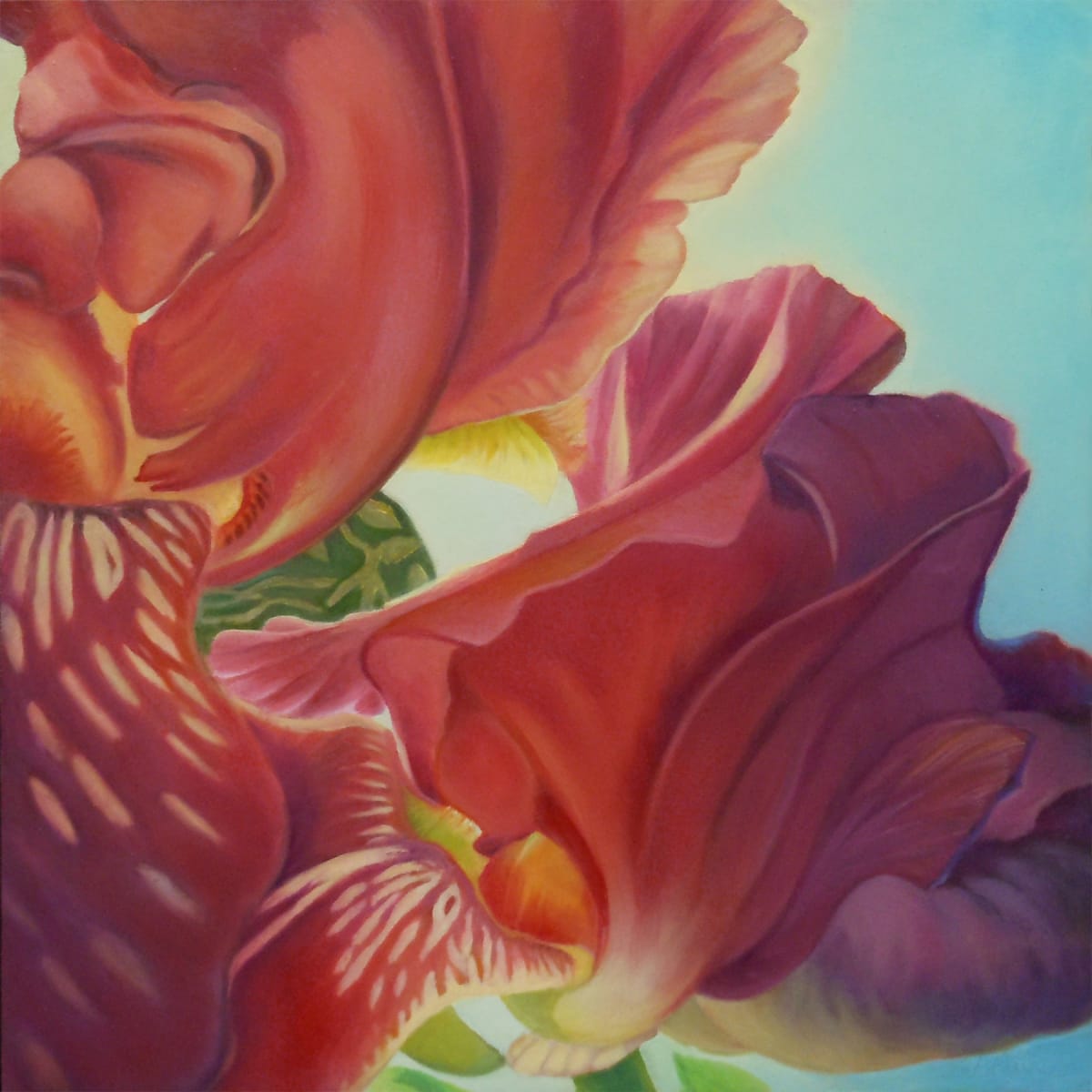 Red Iris Interior 