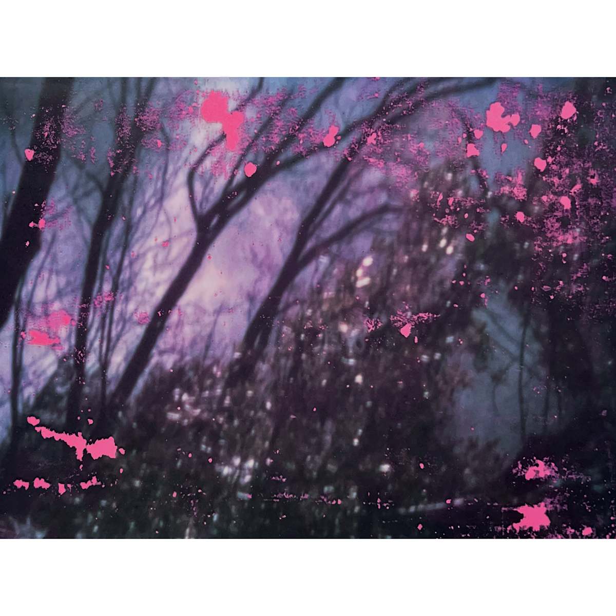 Hide and Seek, Day 111 by Doug Winter, Image 1.