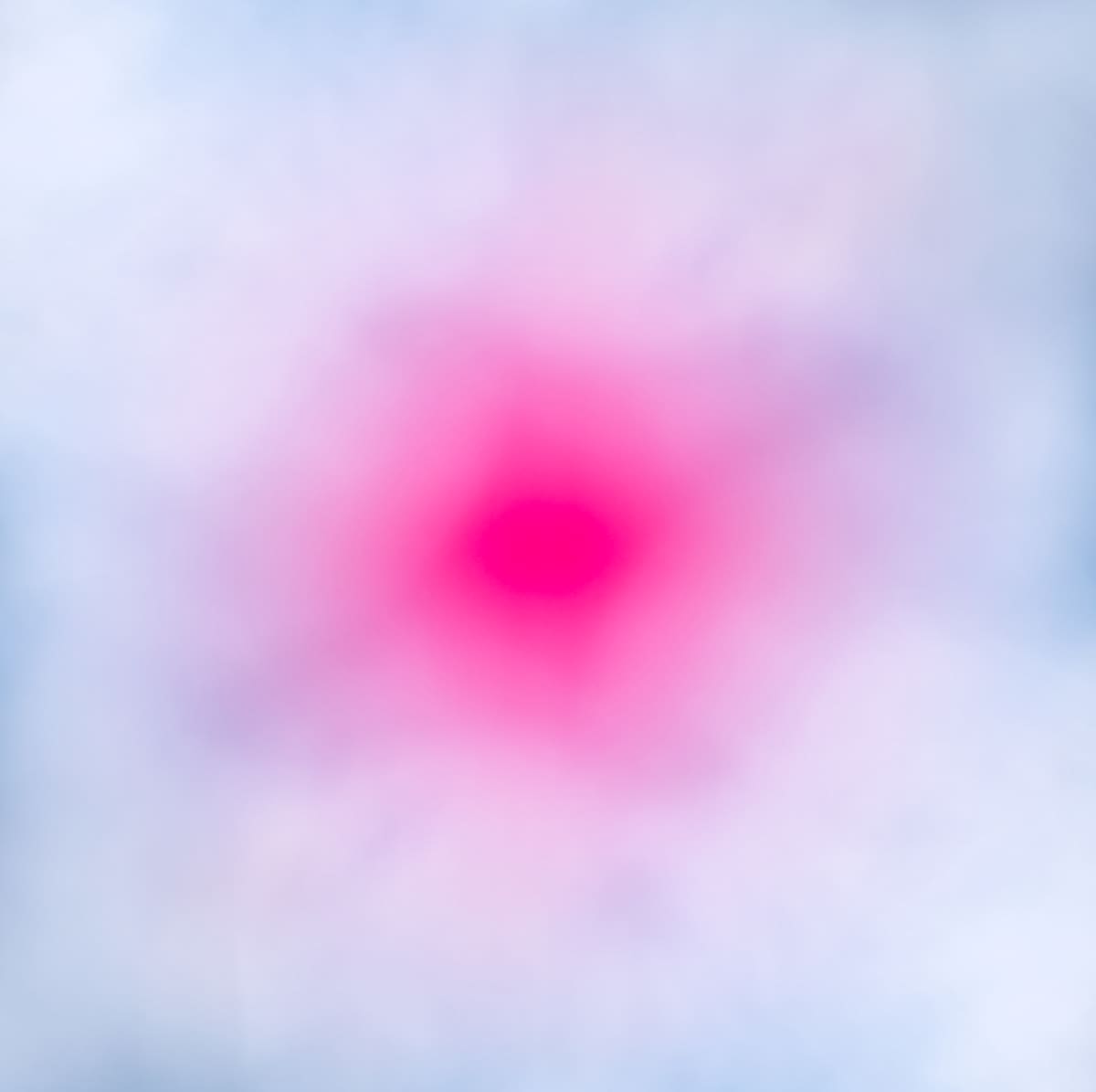Visual Impairment, Red (not Pink) by Doug Winter  Image: The first impulse when encountering this work is to ask: What is this? The need to define its source becomes pressing, even as its blurred hues resist clarity. At the center, a burst of pink is enveloped by soft blue fields, evoking both beauty and uncertainty.

