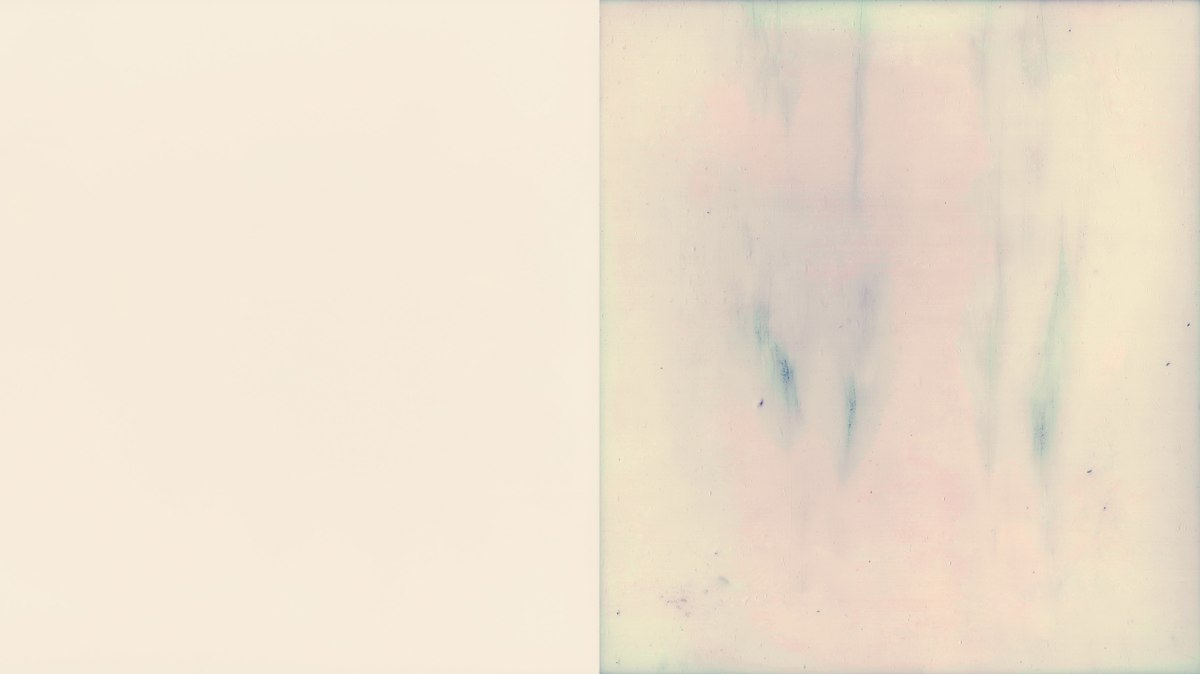 Sibling 145-175a by Doug Winter, Image 1.