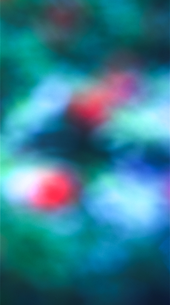 Blossom by Doug Winter  Image: In this early piece, I tested how altered lenses could shift color and perception. What emerged became the foundational approach that carries my practice forward. 

Additional views and installation photos available upon request.