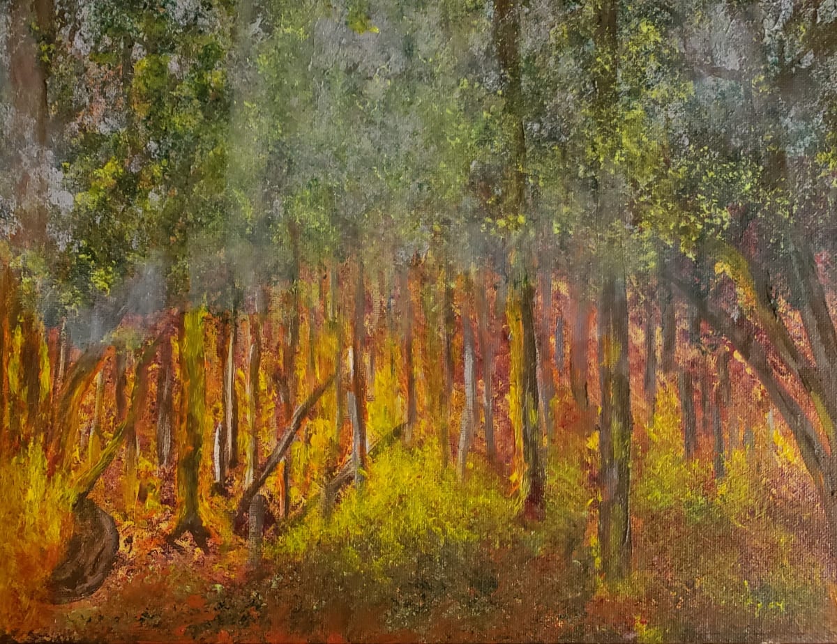 Kaibab Forest Fire, Image 1.