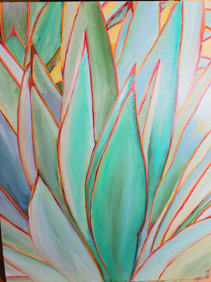 Aloe, Image 2.