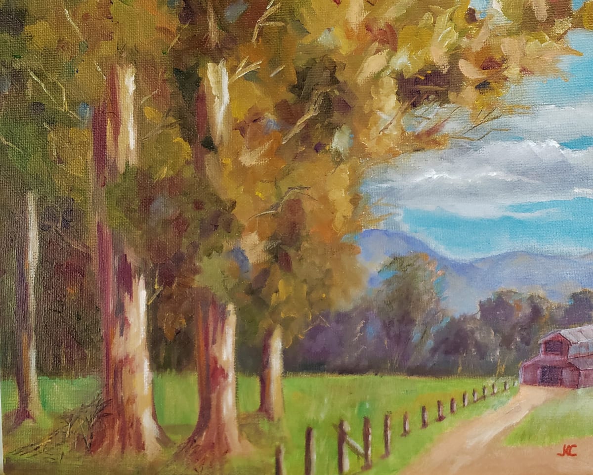 Los Olivos Eucalyptus, Image 1.