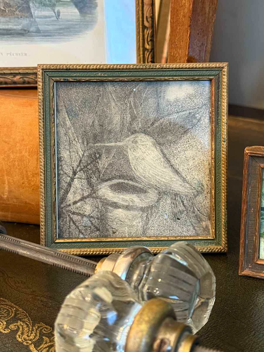 Framed mini etching of hummingbird 