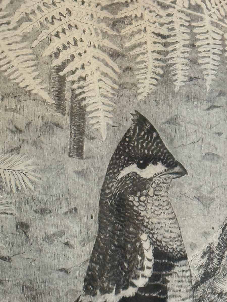 Framed Grouse etching "Woodland Prince" by Walter Bohl, Image 3.