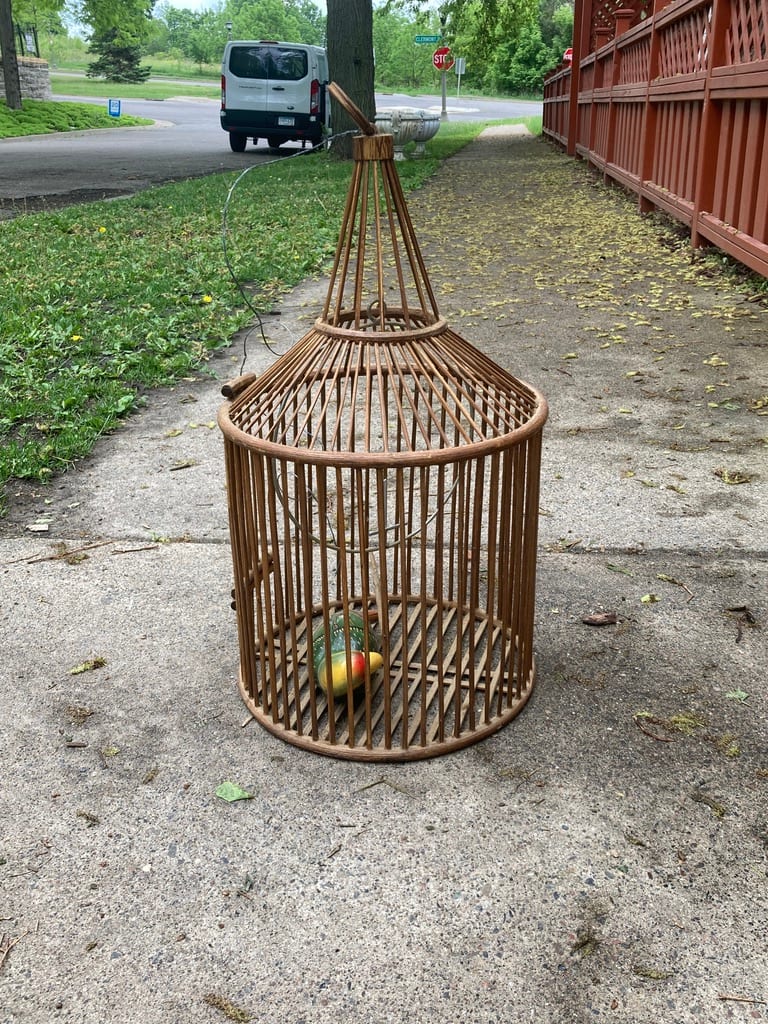 bird cage 