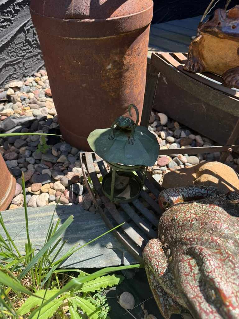 small frog lantern, Image 1.
